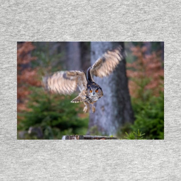 Eagle Owl by Femaleform